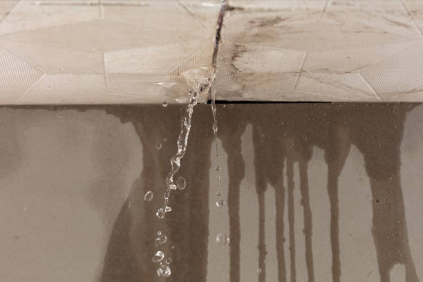 Professional Burst Pipe Cleanup technician working in Wadley, GA